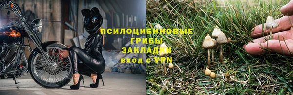 марки lsd Абинск
