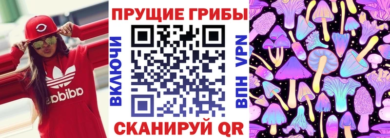 хочу   Питкяранта  Галлюциногенные грибы прущие грибы 